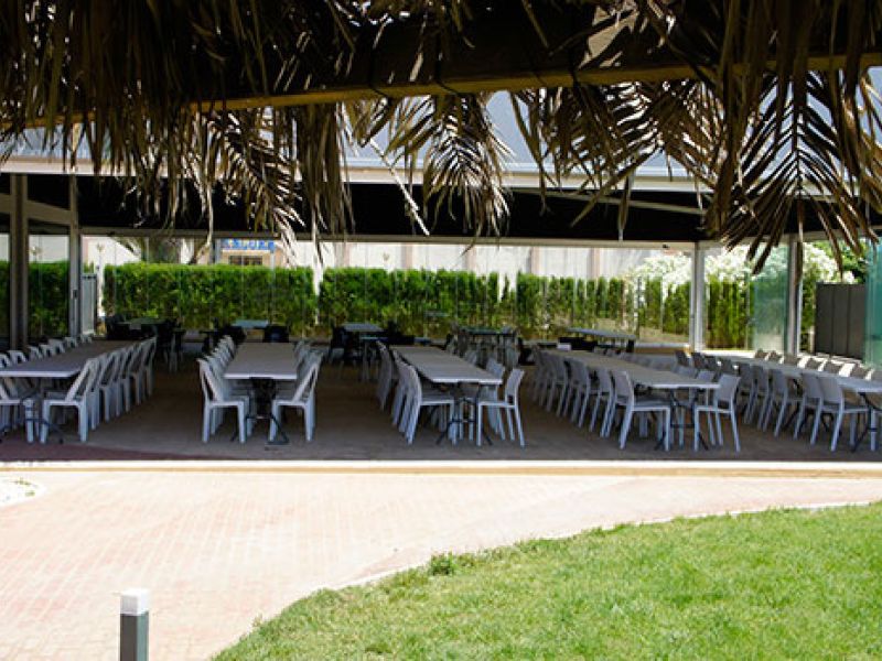 Comedor del albergue: Comedor9